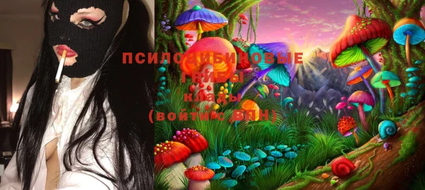 соль курить ск Ладушкин