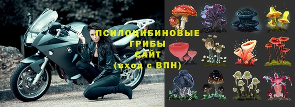 соль курить ск Ладушкин