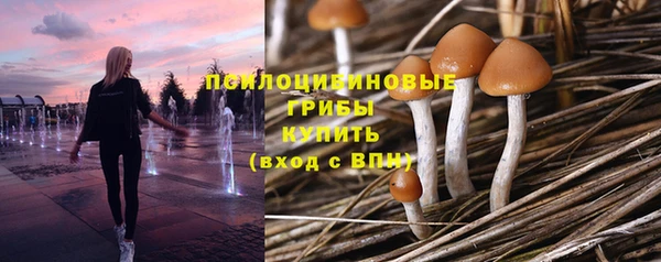 соль курить ск Ладушкин