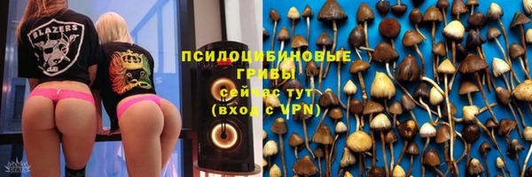 метадон Лабытнанги